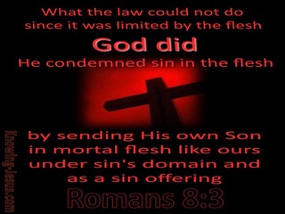 Romans 8:3 God Sent His Son As A Sin Offering (black)